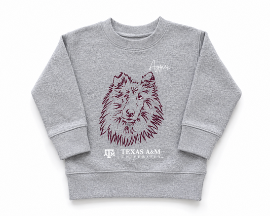 Kids Aggie Gray Sweatshirt